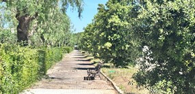 Foto 8